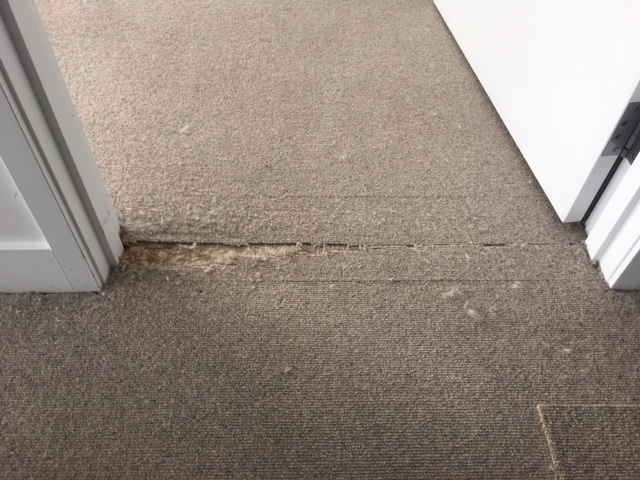 carpet-repair-near-door-before